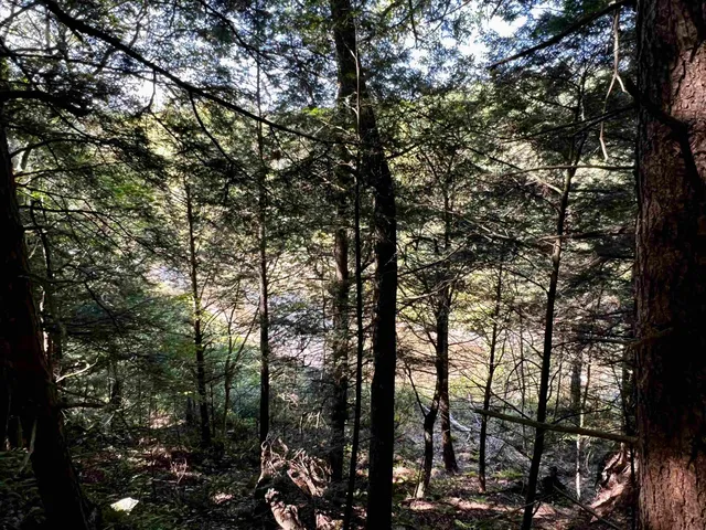 $525,000 | 10 Castle Hill Lane, Westford, VT 05494