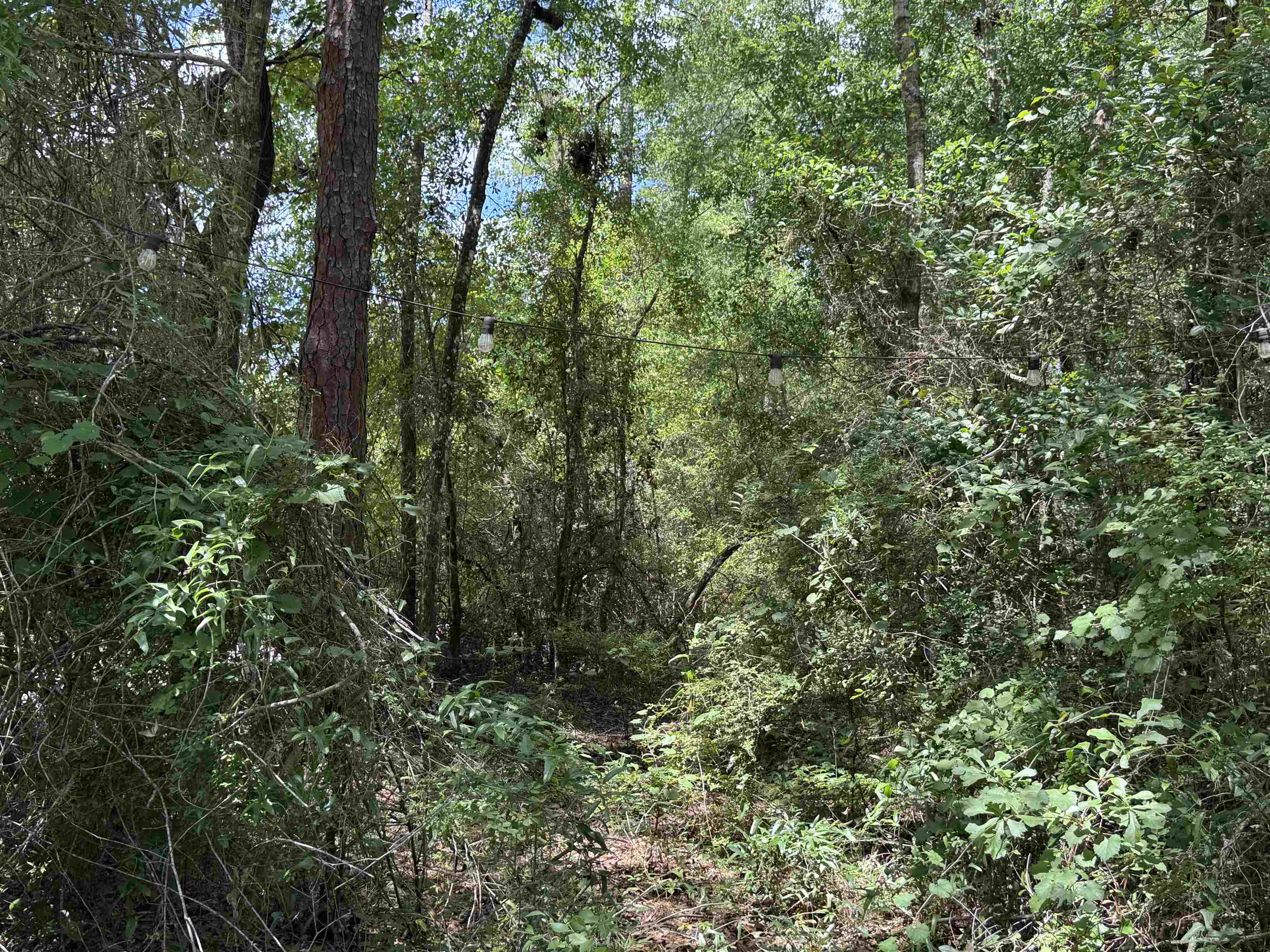 4294 Wainwright Road Tallahassee, FL 32310 - Photo 25 of 46