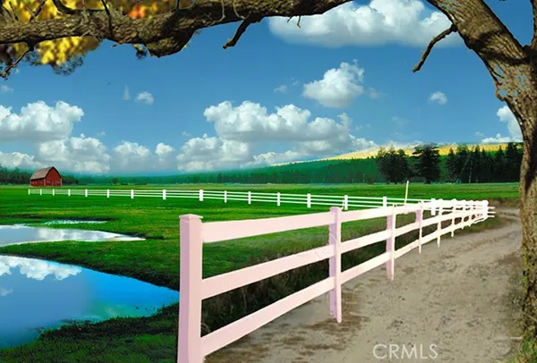 a view of a swimming pool with a yard and palm trees