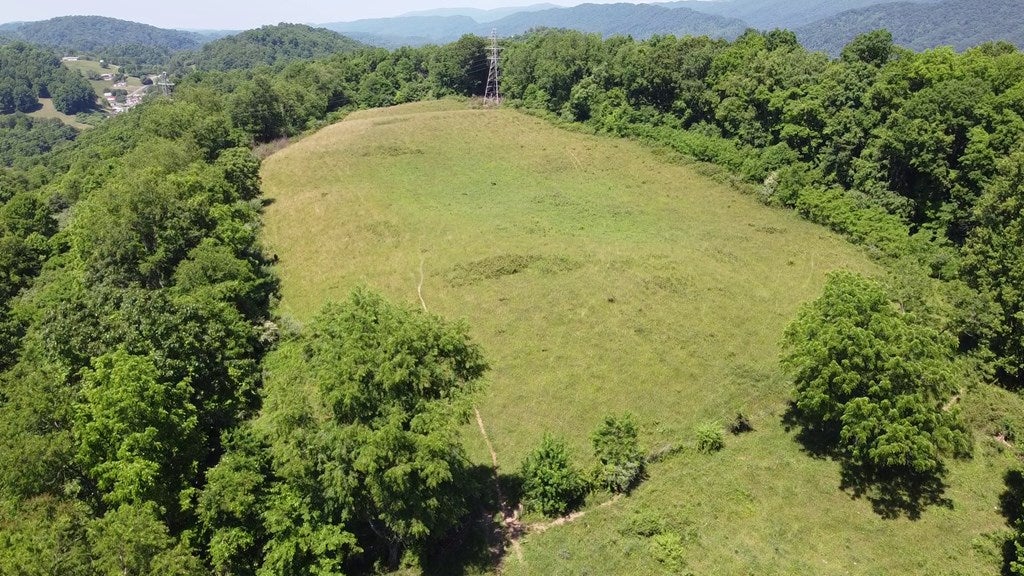 Tbd Buckeye Hollow Road Saltville, VA 24370 - Photo 9 of 13 Gallery Image 9
