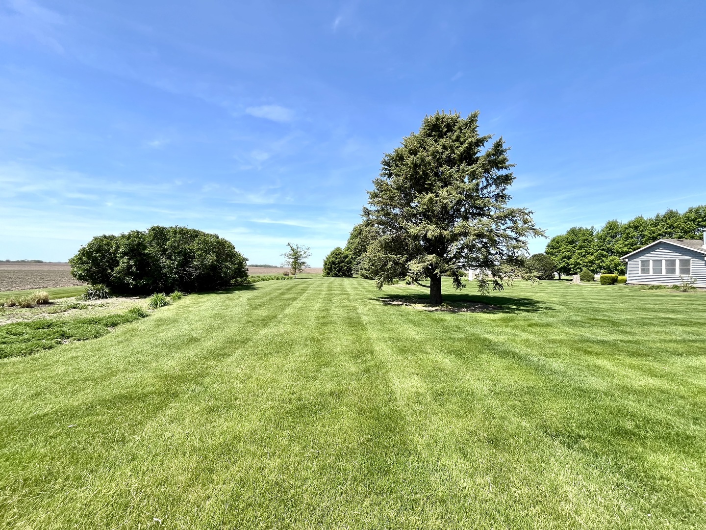 80 North 14th Road Lostant, IL 61334 - Photo 46 of 54 a view of a garden