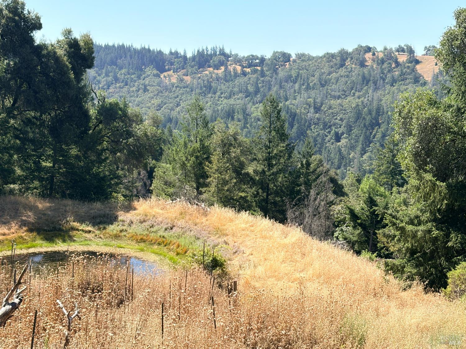 3701 Radical Ridge Road Redwood Valley, CA 95470 - Photo 33 of 42