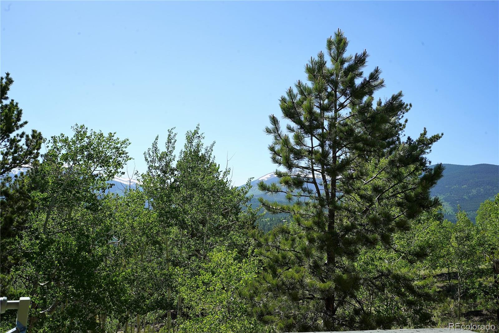 103 Rd P67 Bailey, CO 80421 - Photo 23 of 24