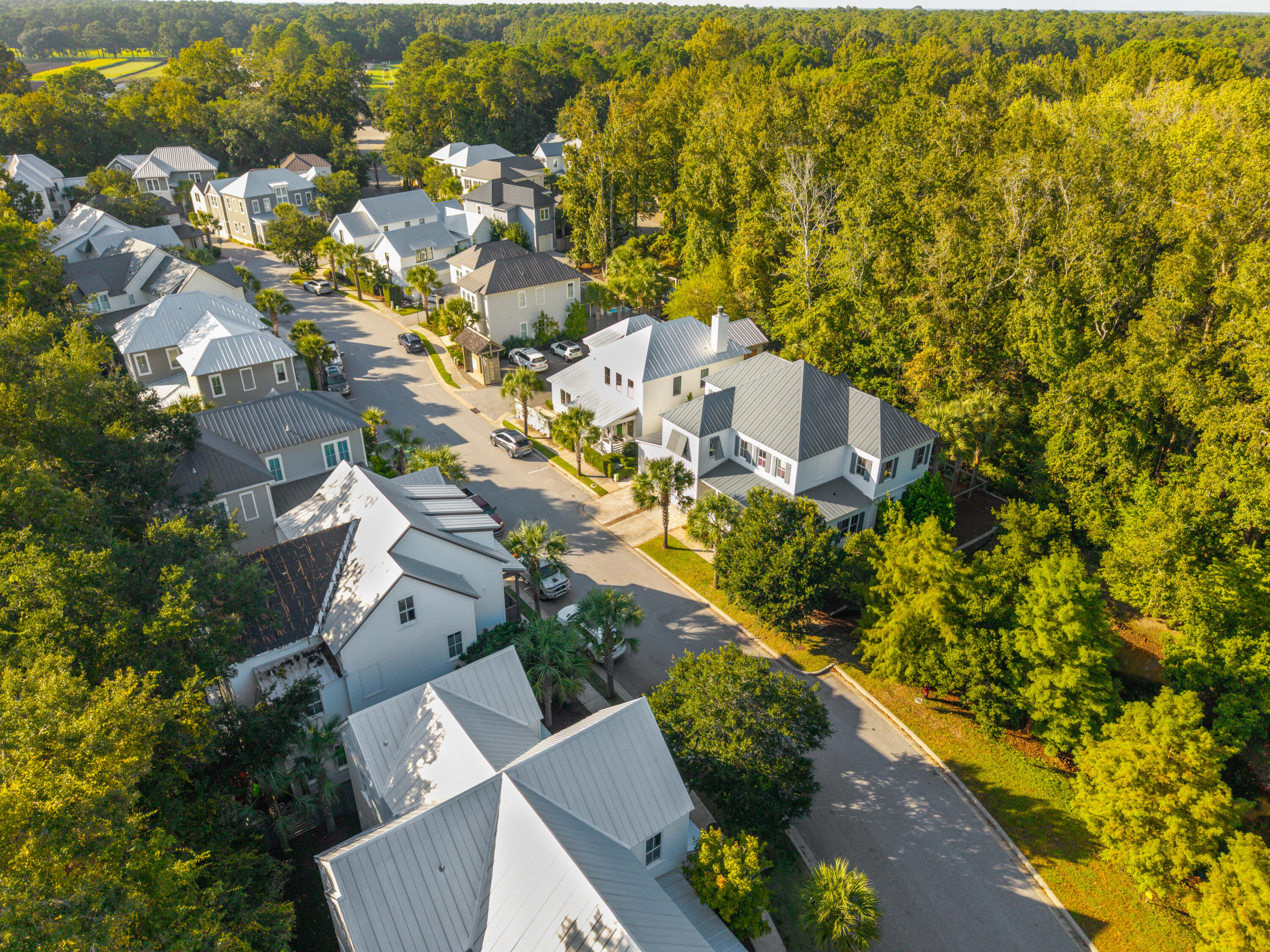 1142 Fulton Hall Lane Mount Pleasant, SC 29466 - Photo 42 of 44 1142FultonHallLn-KeenEyeMarketing-115