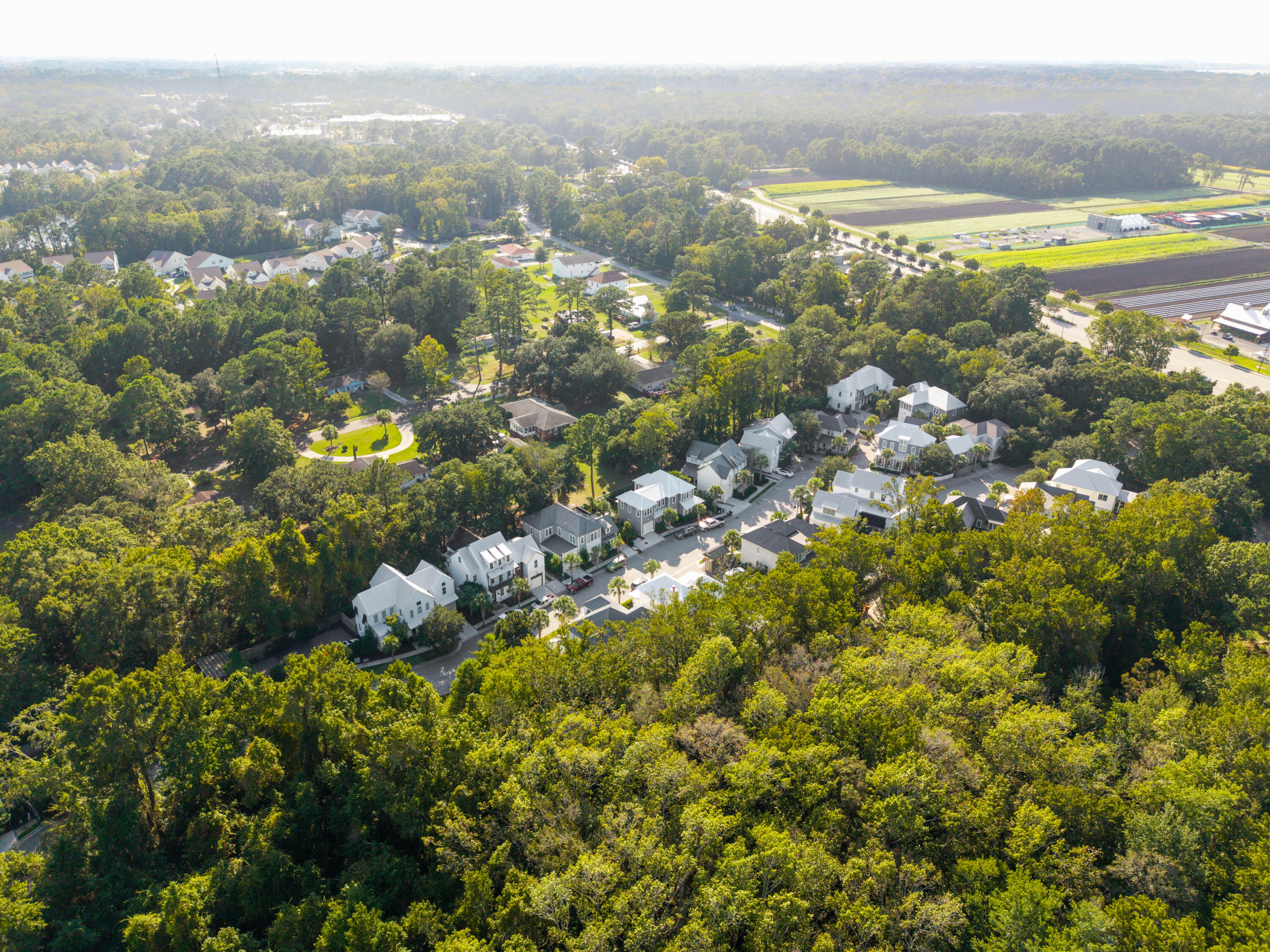 1142 Fulton Hall Lane Mount Pleasant, SC 29466 - Photo 44 of 44 1142FultonHallLn-KeenEyeMarketing-111