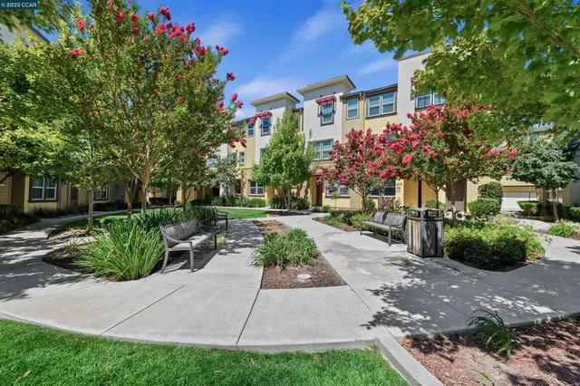 a view of street with flower on side of it