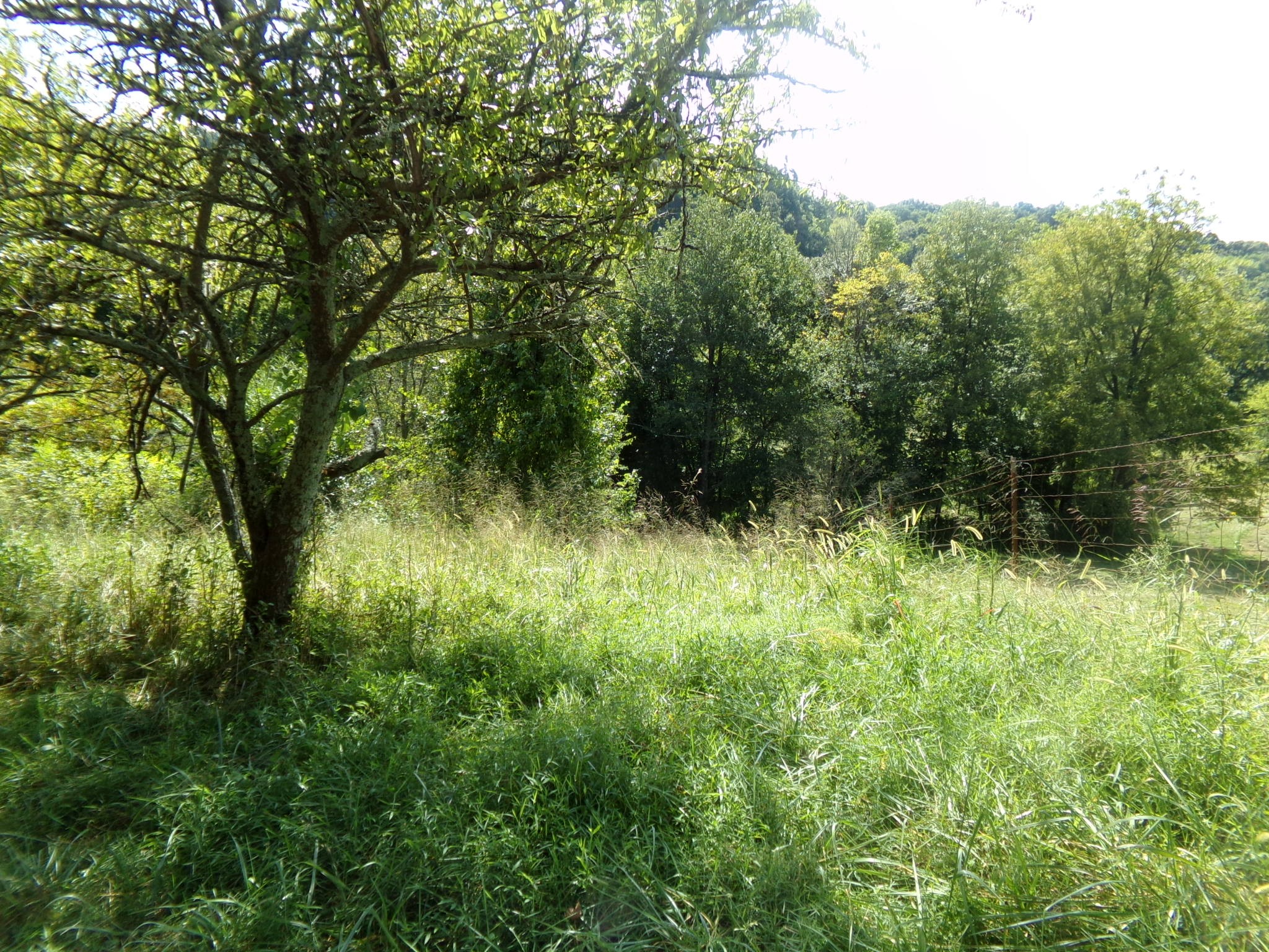 2966 Monte Murrey Road Lewisburg, TN 37091 - Photo 19 of 20 Gallery Image 19