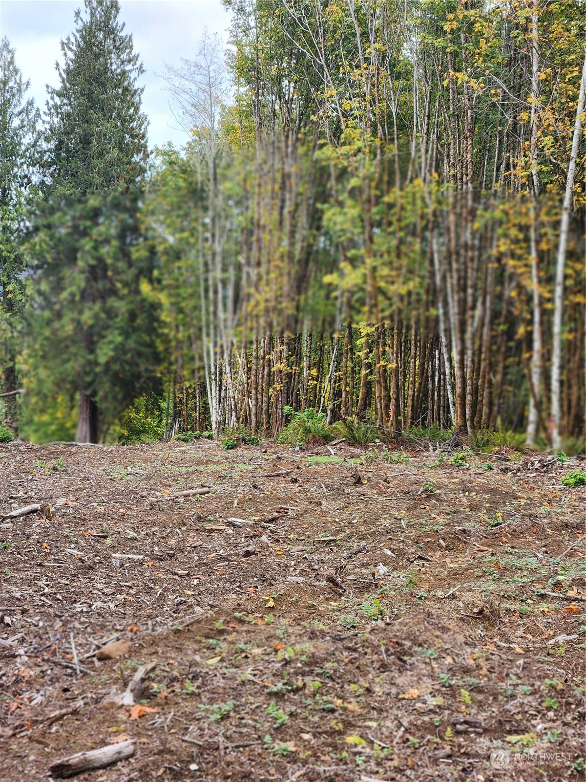 1 East Sunset Road Shelton, WA 98584 - Photo 12 of 17 Gallery Image 12