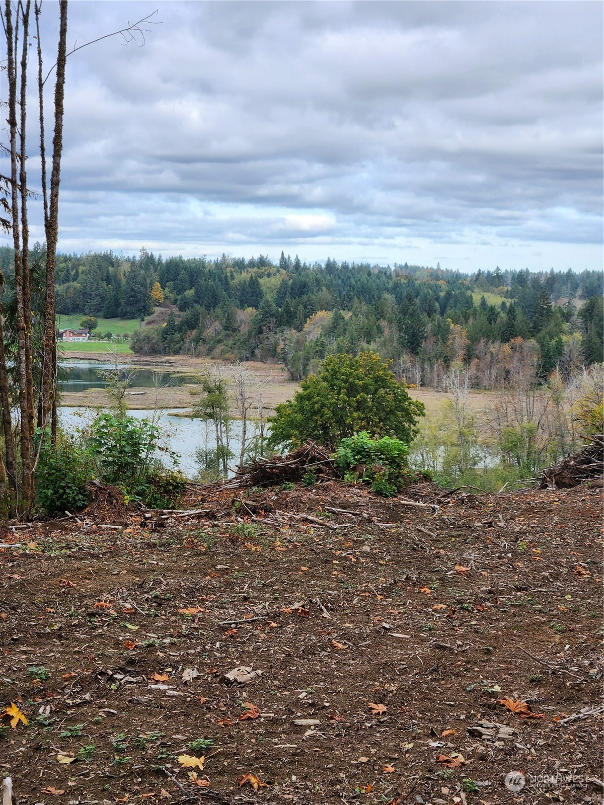 1 East Sunset Road Shelton, WA 98584 - Photo 14 of 17 Gallery Image 14