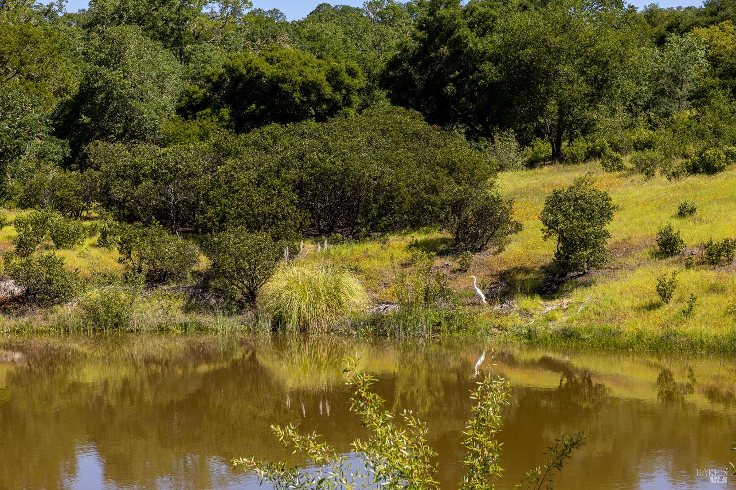13414 Chalk Hill Road Healdsburg, CA 95448 - Photo 75 of 99