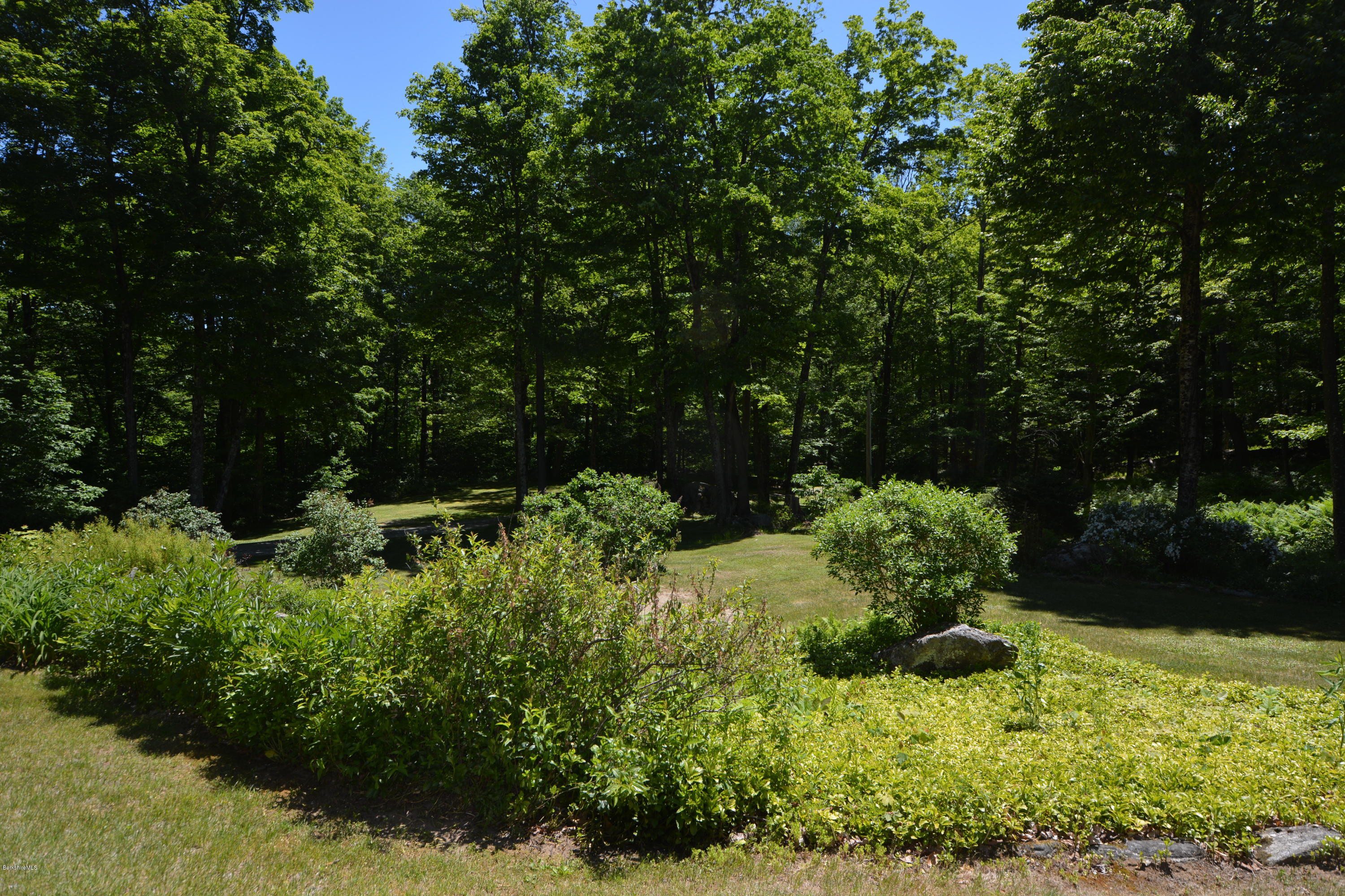 1304 West Center Road Otis, MA 01253 - Photo 24 of 28 a view of a garden with plants