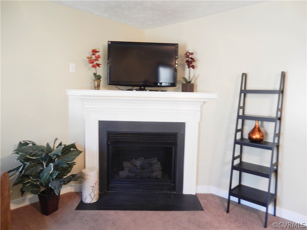 5212 Dorrell Road Aylett, VA 23009 - Photo 16 of 50 Gallery Image 16