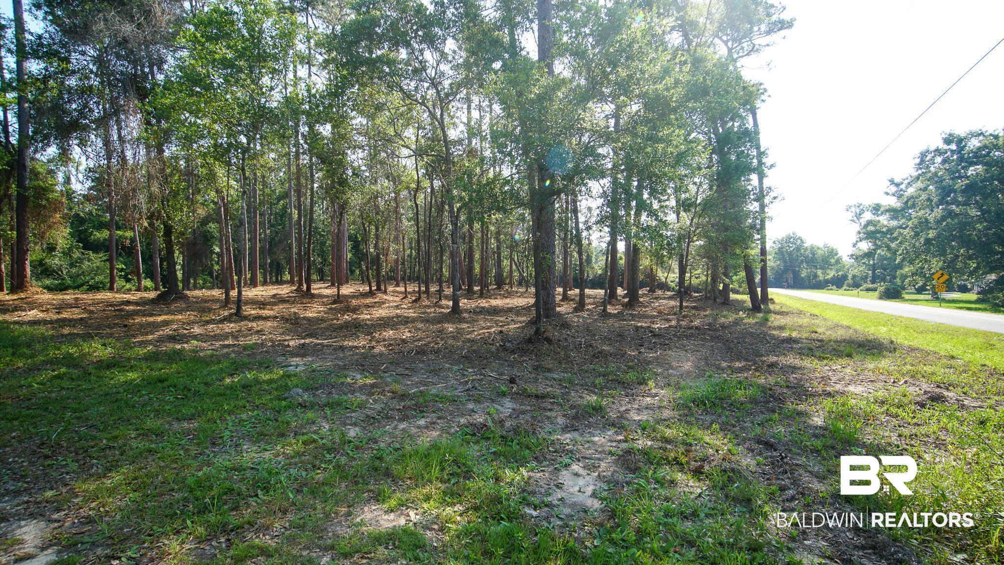 0 Antietam Road Lillian, AL 36549 - Photo 22 of 32
