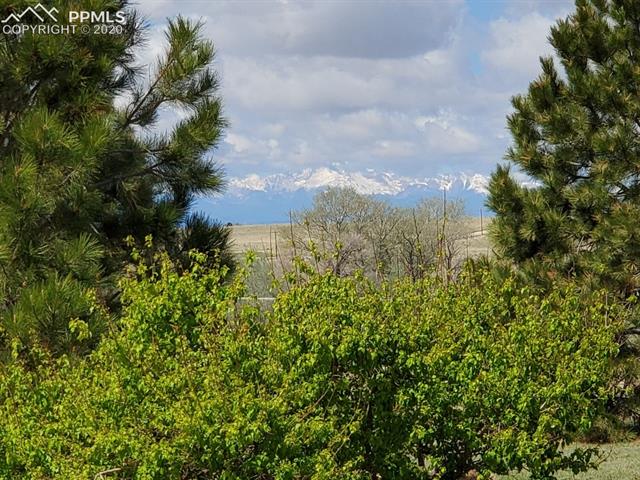 22850 Murphy Road Calhan, CO 80808 - Photo 11 of 49 Gallery Image 11