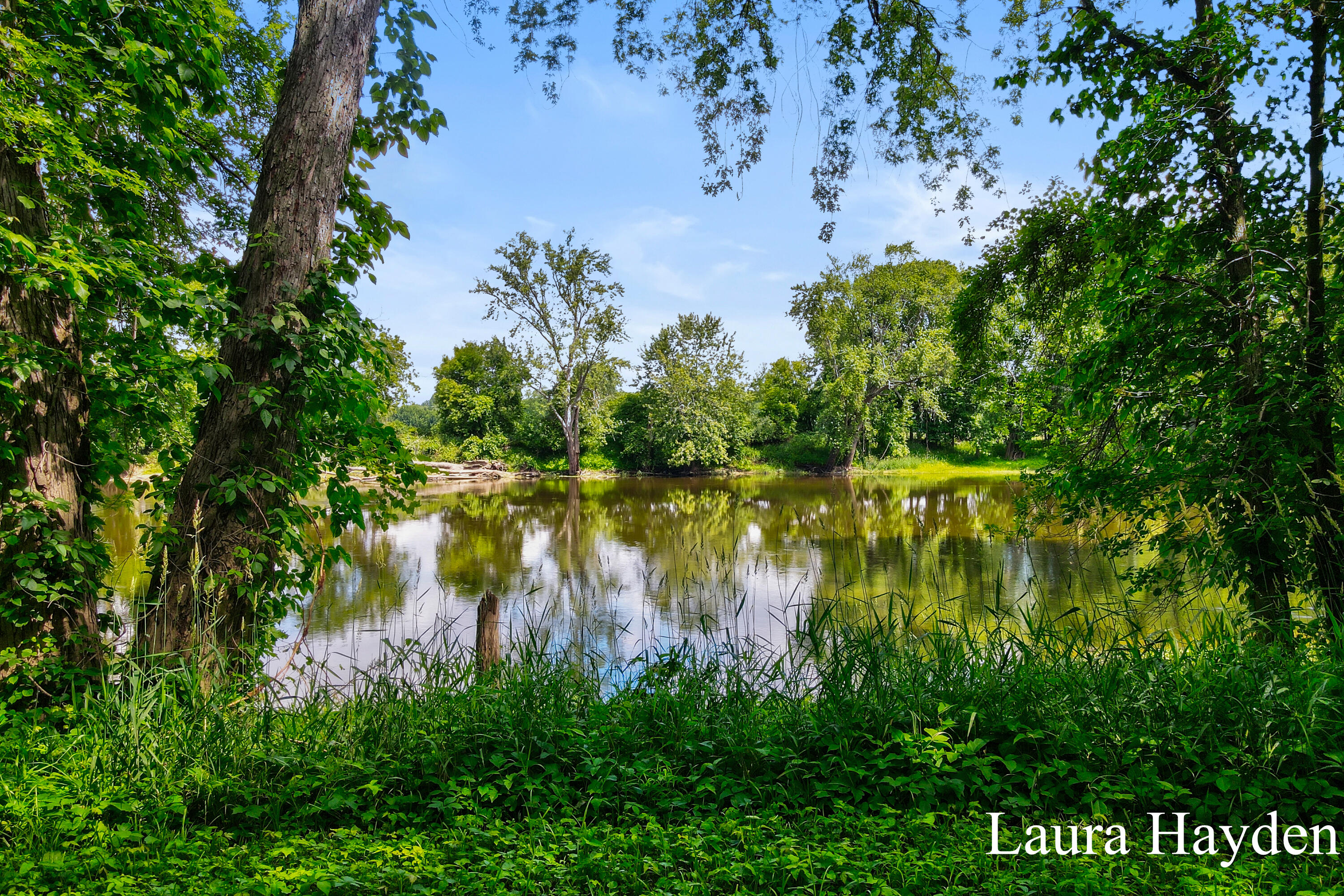 1367 East Riverside Drive Ionia, MI 48846 - Photo 37 of 46 Laura Hayden - 1367 Riverside Drive (46)