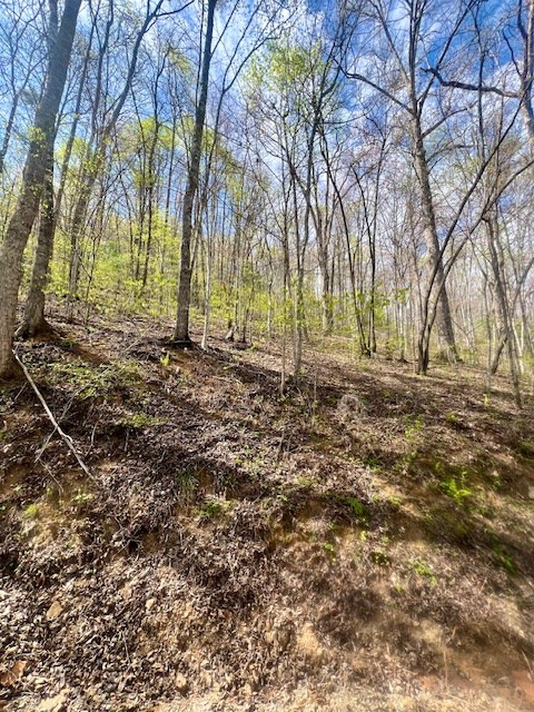 0 Gunter Hollow Road Almond, NC 28702 - Photo 3 of 7