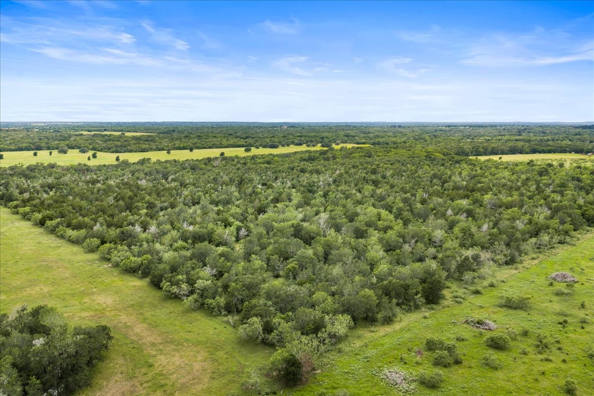 288 Charcoal Road Rosanky, TX 78953 - Photo 5 of 23 a view of an ocean and beach