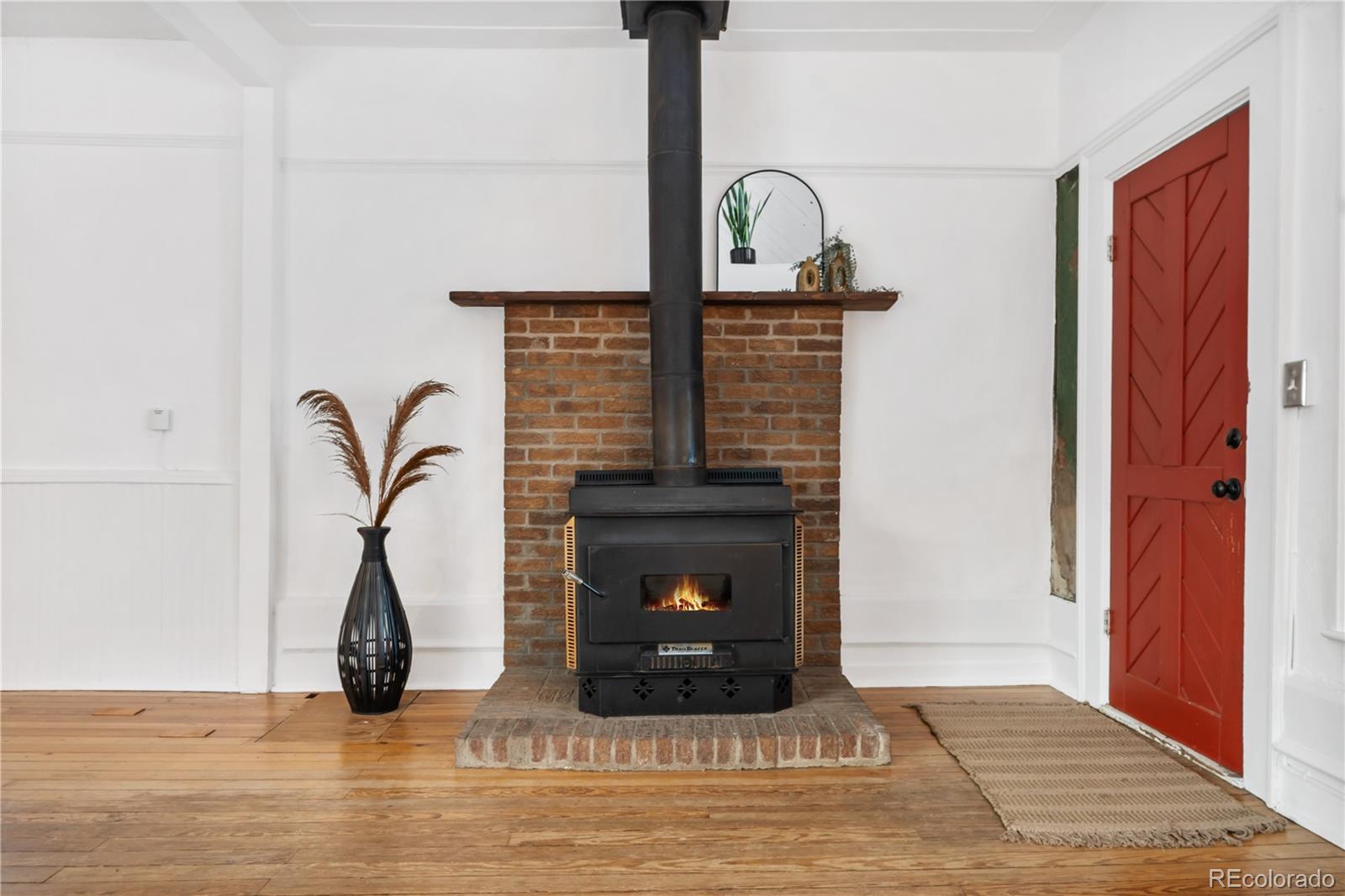 4743 Tejon Street Denver, CO 80211 - Photo 6 of 30 a living room with fireplace furniture and a wooden floor