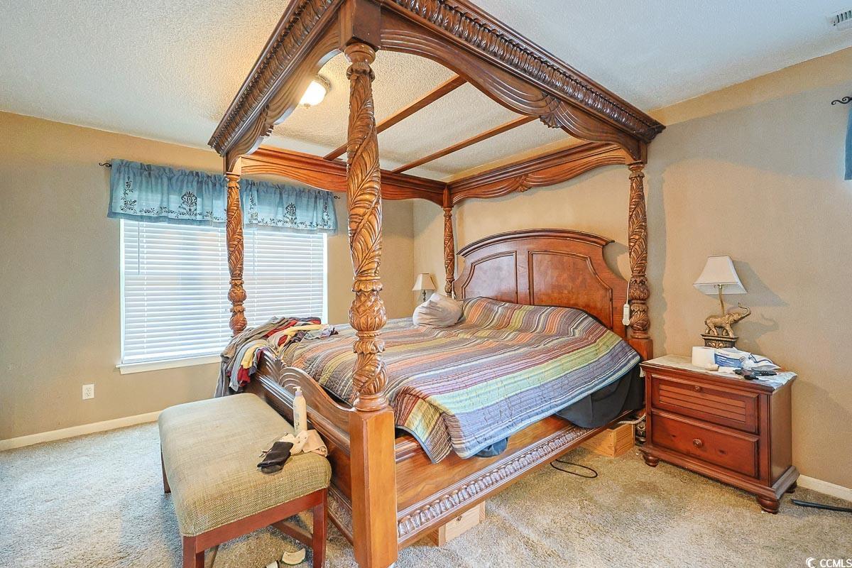 210 Rail Street Longs, SC 29568 - Photo 14 of 32 Carpeted bedroom with a textured ceiling