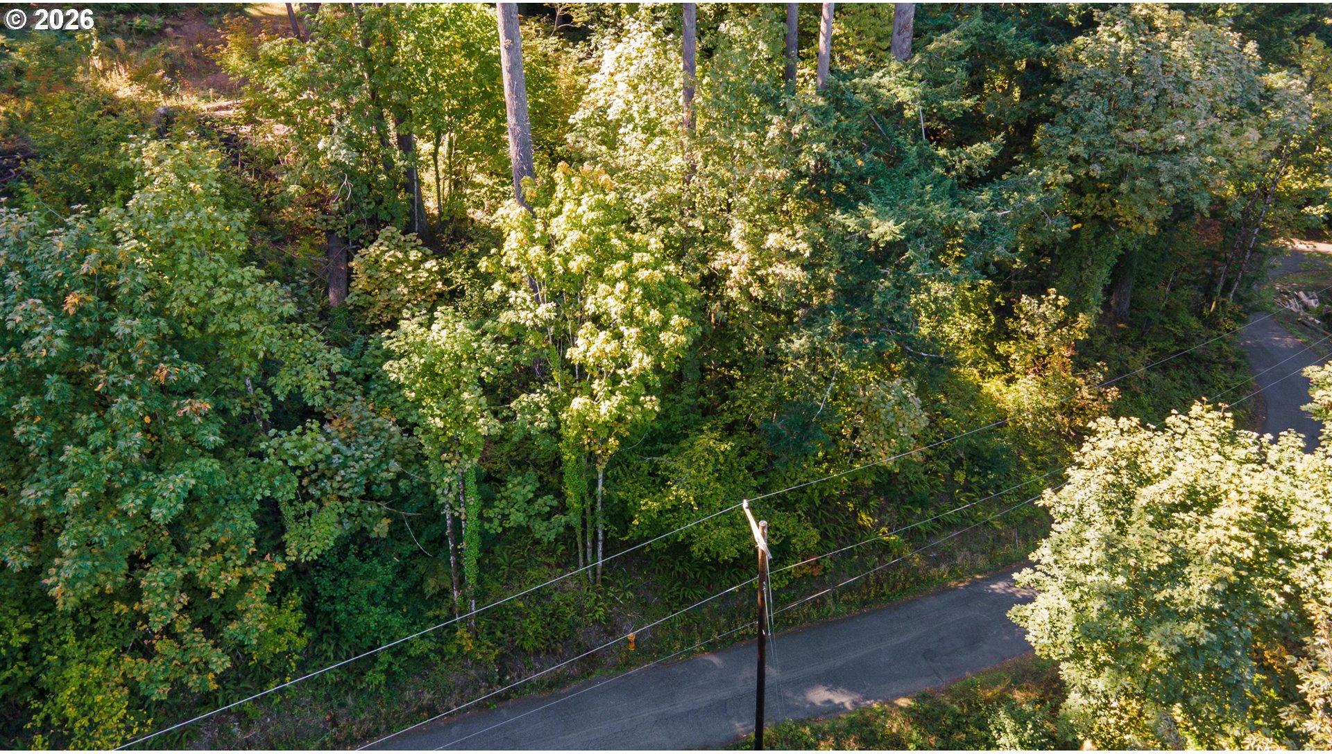 841 Northwest Greenleaf Road Portland, OR 97229 - Photo 5 of 13 Gallery Image 5