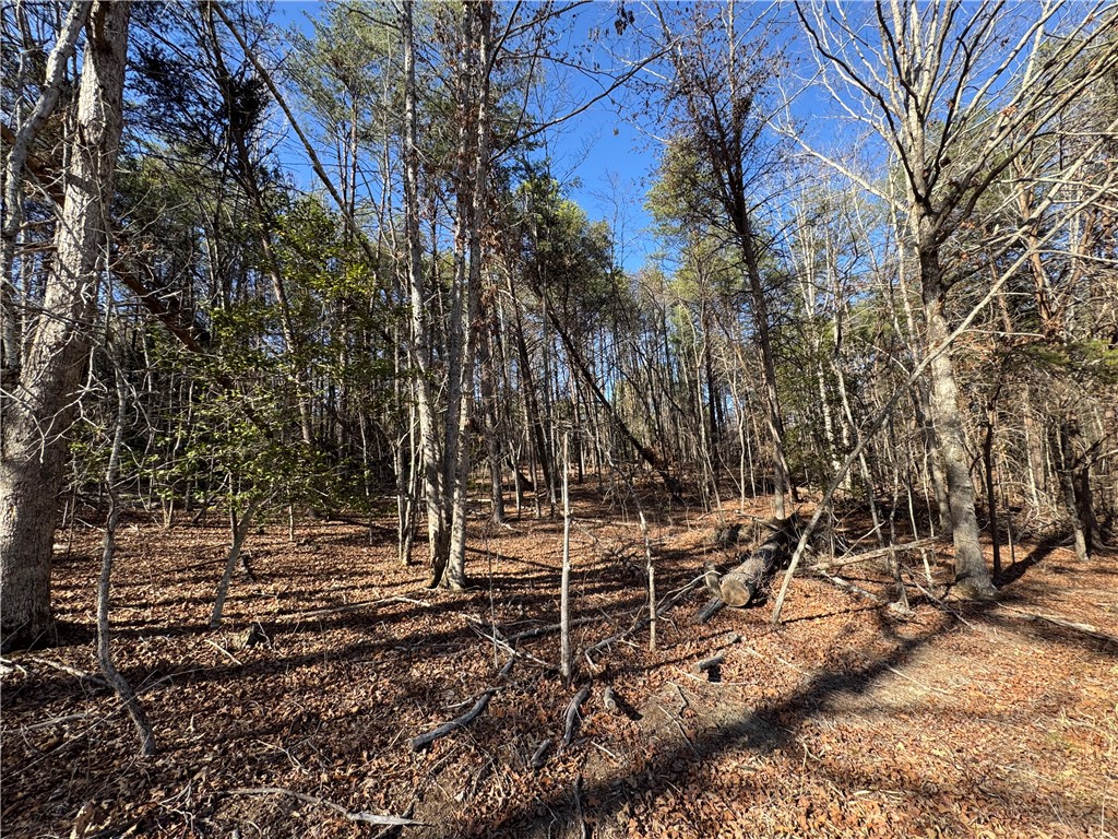 Tract B Old Unity Road Westminster, SC 29693 - Photo 11 of 12 This wooded lot offers a tranquil setting for a future home.