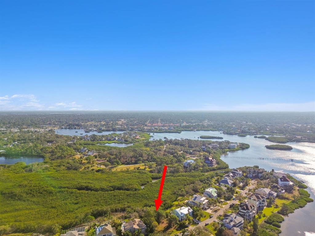 Point Seaside Drive Palm Harbor, FL 34683 - Photo 5 of 6