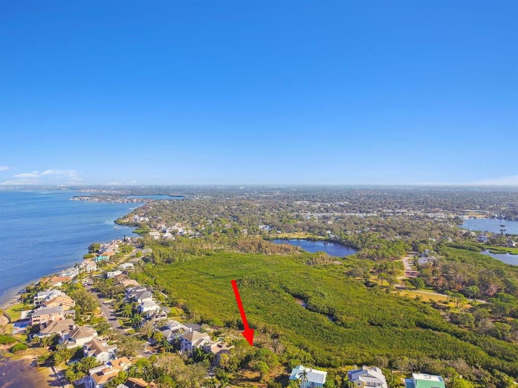 Point Seaside Drive Palm Harbor, FL 34683 - Photo 6 of 6