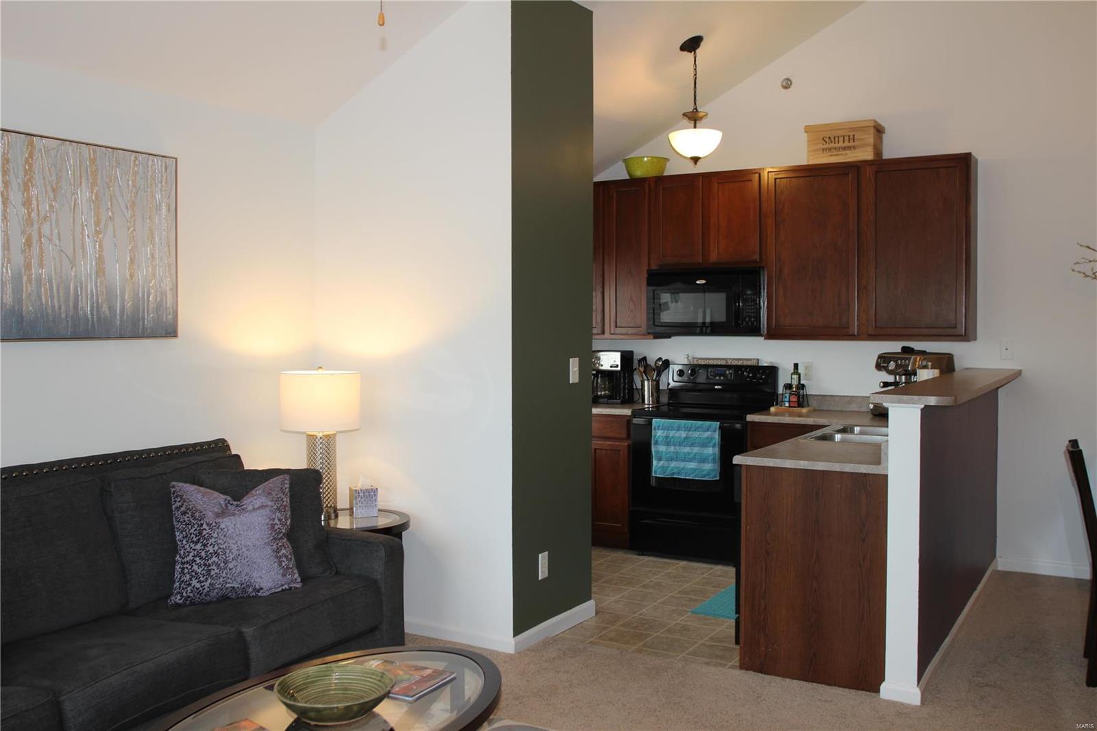 9736 Crayford Road, Unit 6G St. Louis, MO 63123 - Photo 16 of 35 Gallery Image 16