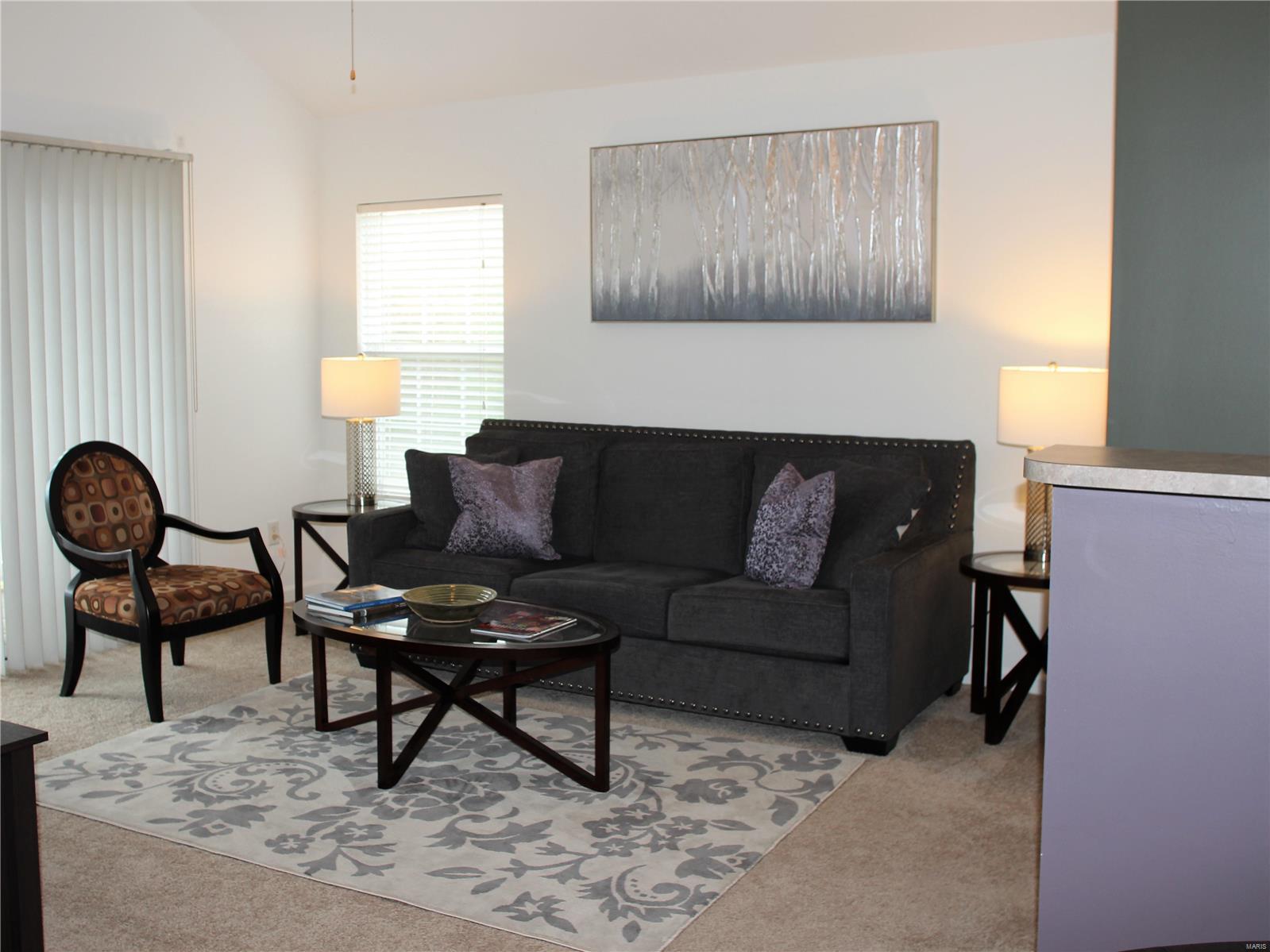 9736 Crayford Road, Unit 6G St. Louis, MO 63123 - Photo 3 of 35 Gallery Image 3