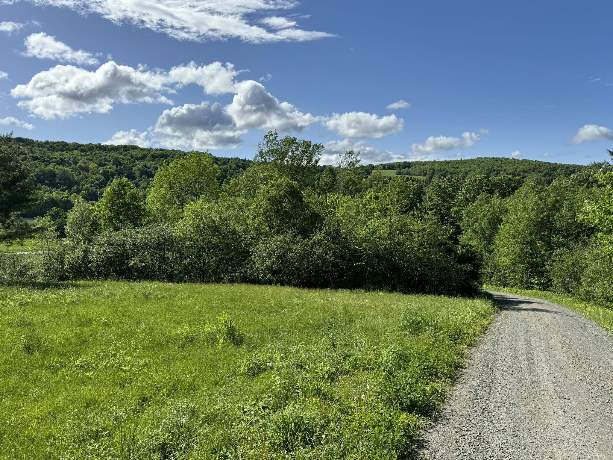 0 Happy Haven Road, Unit LOT 45 Wilmington, VT 05363 - Photo 8 of 29