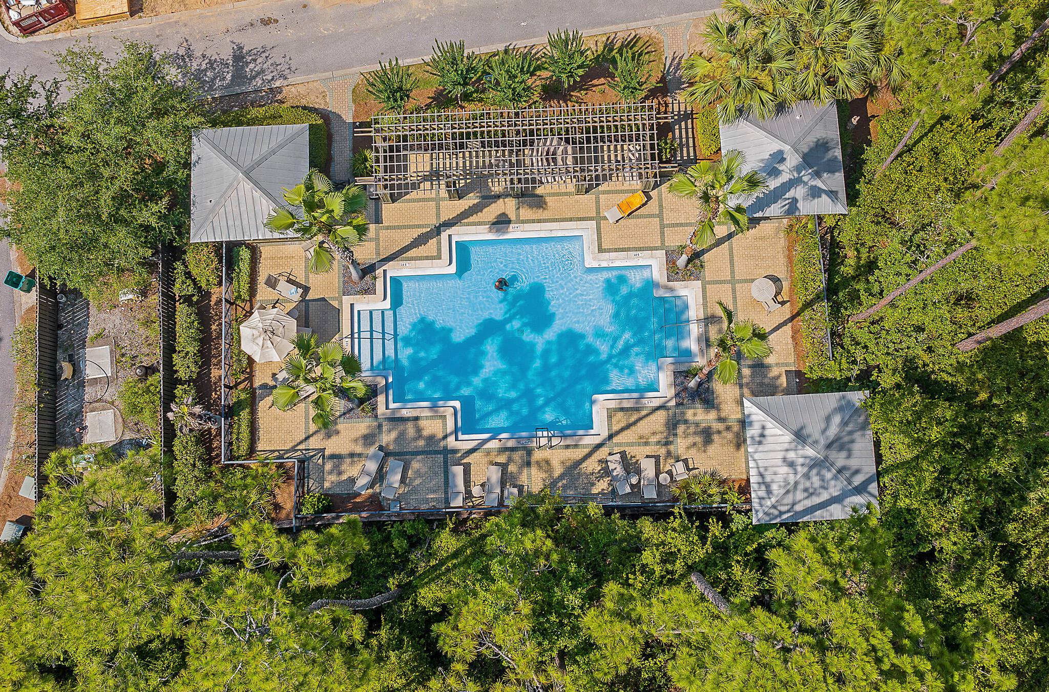 186 Redbud Ln Inlet Beach Inlet Beach, FL 32461 - Photo 39 of 46 an aerial view of a house with a yard and lake view