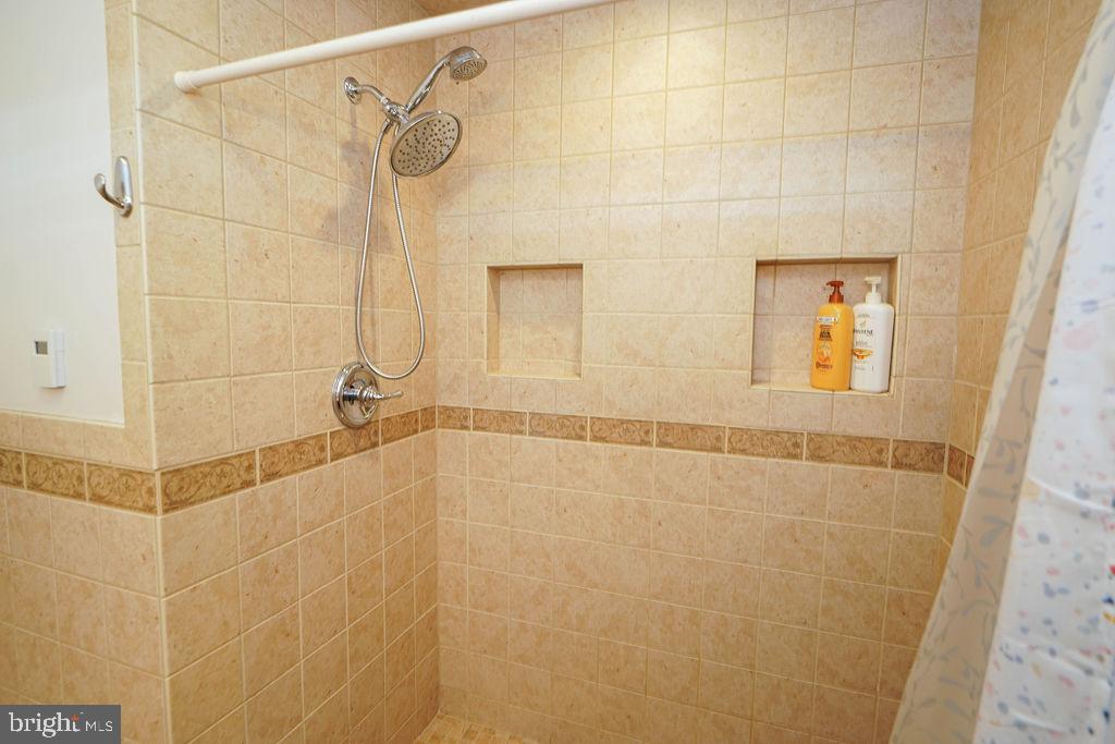 9137 Logtown Road Berlin, MD 21811 - Photo 12 of 59 Walking Shower