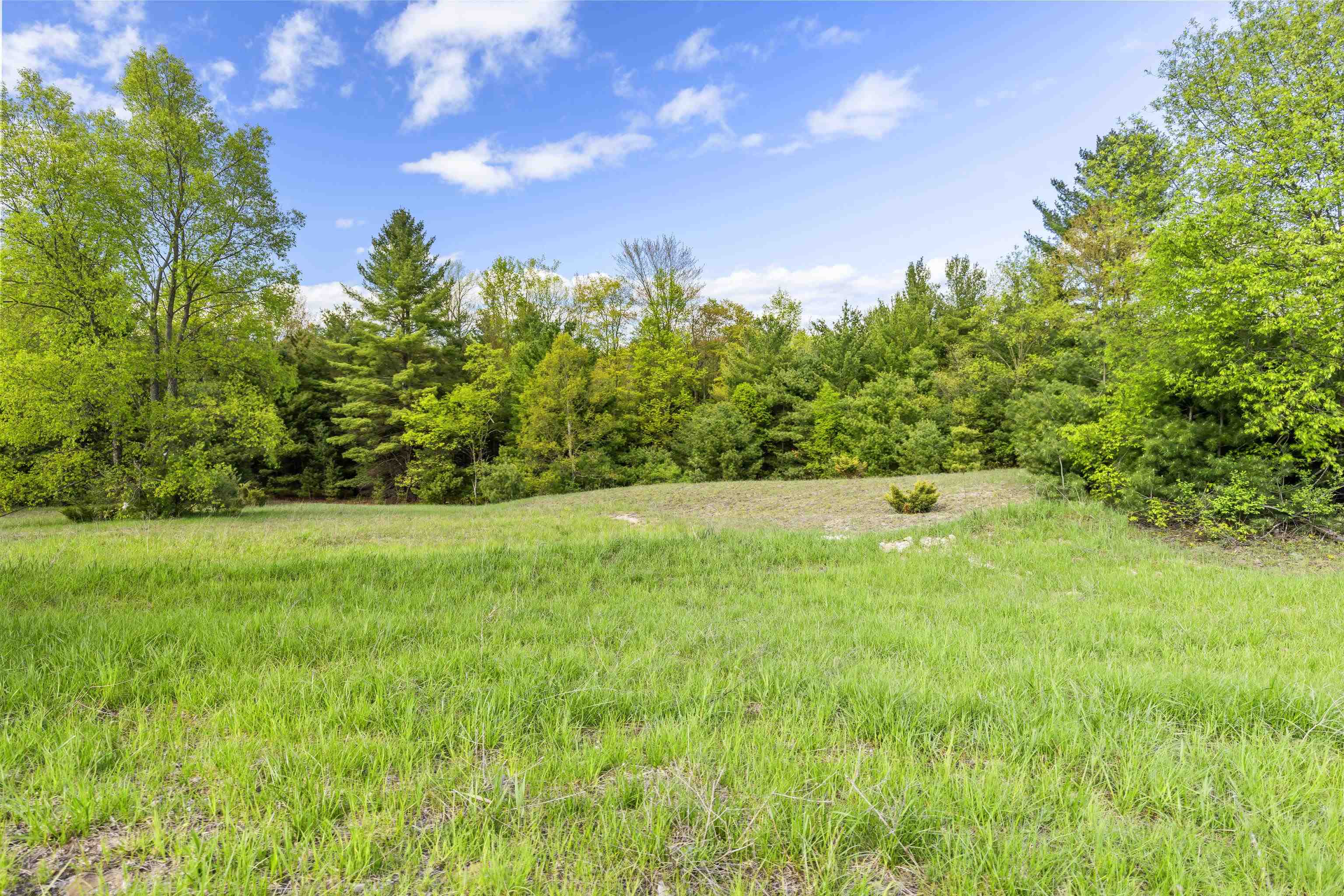 0 Honor Highway, Unit 0RIANN'S RUN Interlochen, MI 49643 - Photo 11 of 11