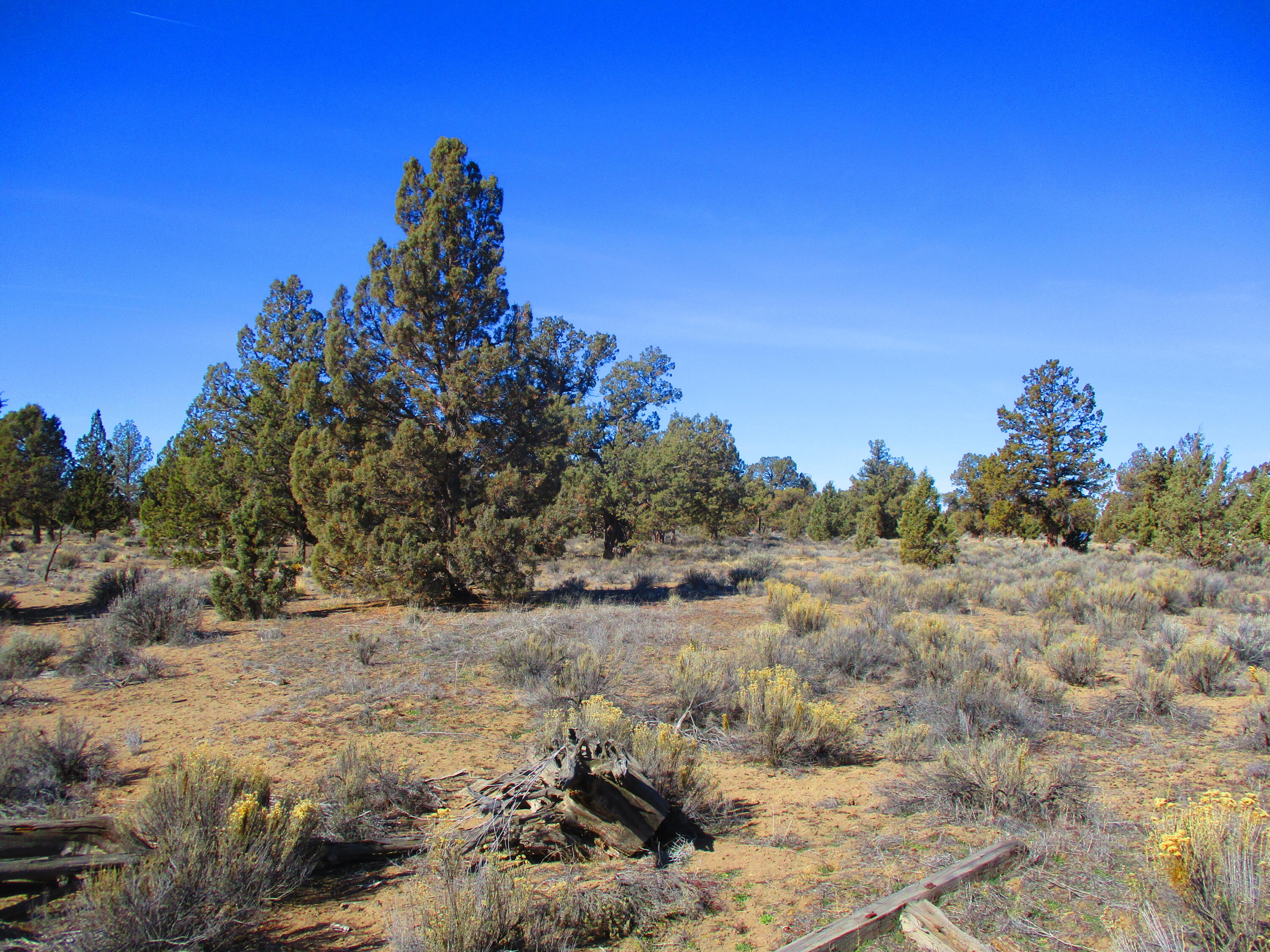 Tl1700 Southeast Mohawk Road Prineville, OR 97754 - Photo 8 of 21 9