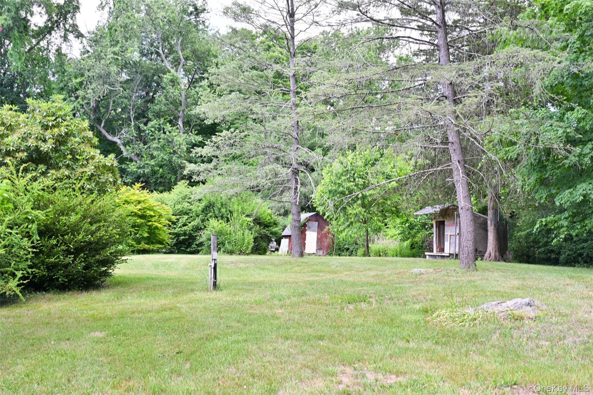 136 Foggintown Road Brewster, NY 10509 - Photo 44 of 50 a view of a park with large trees