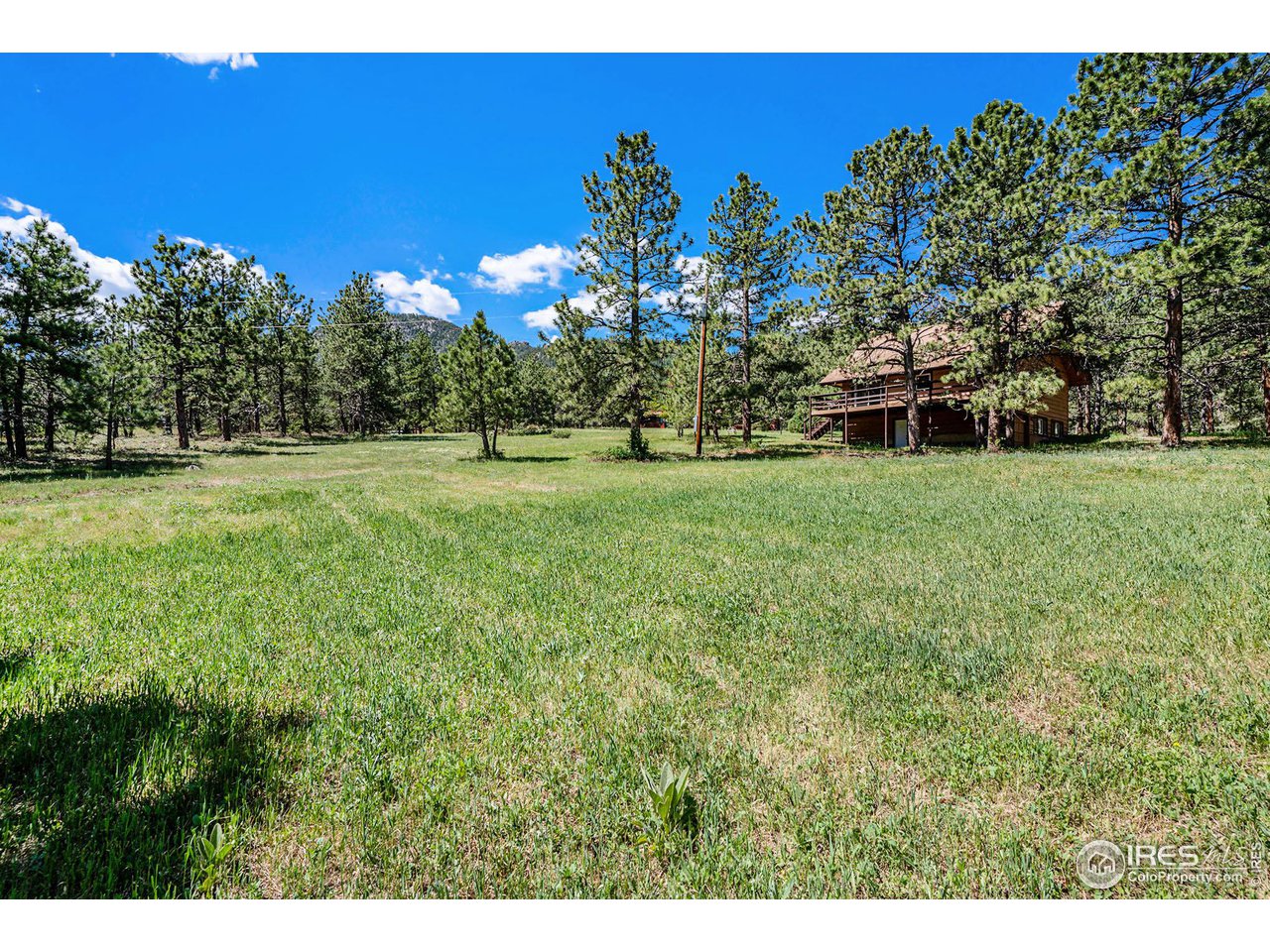372 Cherokee Road Lyons, CO 80540 - Photo 22 of 33 a backyard of a house with lots of green space