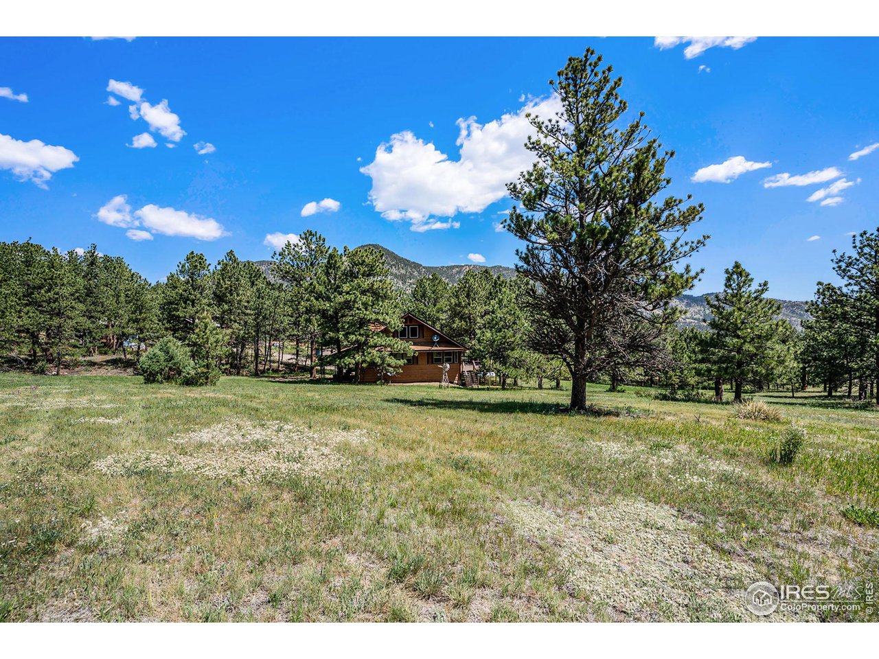 372 Cherokee Road Lyons, CO 80540 - Photo 26 of 33 a view of a yard with large trees
