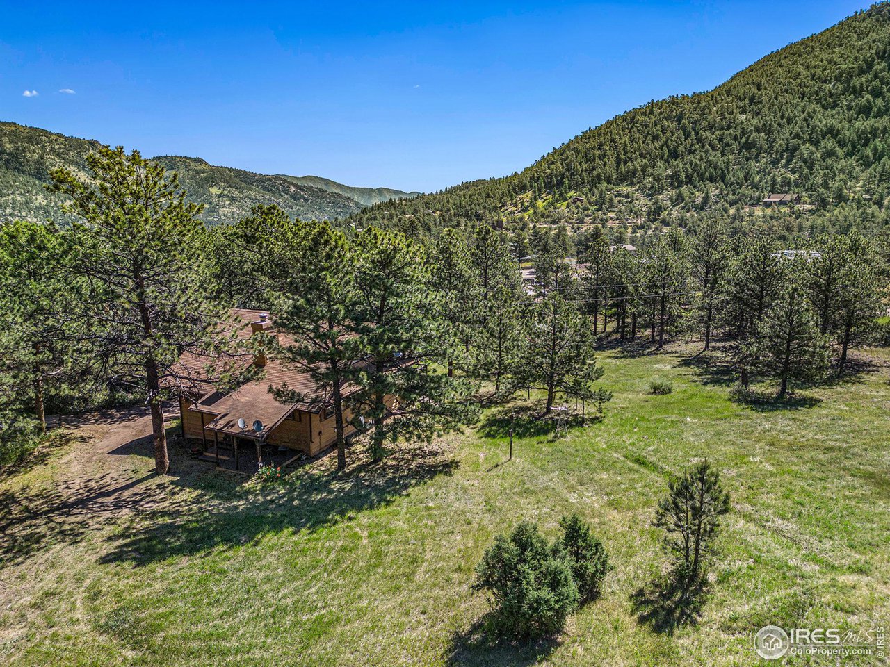 372 Cherokee Road Lyons, CO 80540 - Photo 27 of 33 a view of a lush green forest with lots of trees