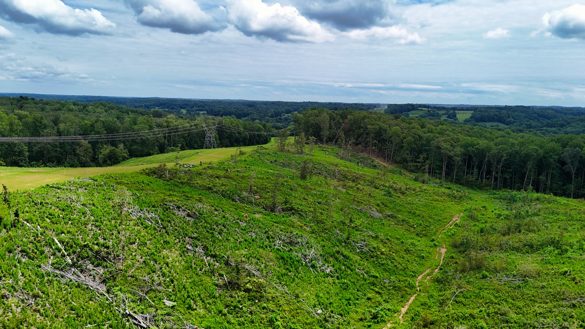 1 Bell Hollow Road Vanleer, TN 37181 - Photo 20 of 38 Gallery Image 20