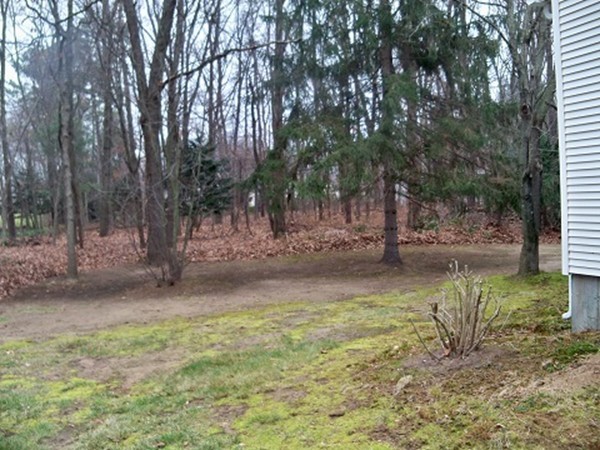 861 Frank Smith Road Longmeadow, MA 01106 - Photo 4 of 27 Gallery Image 4