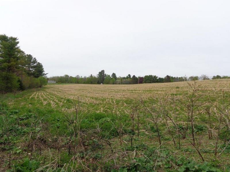 Lot A Plains Road Readfield, ME 04355 - Photo 3 of 6 Photo
