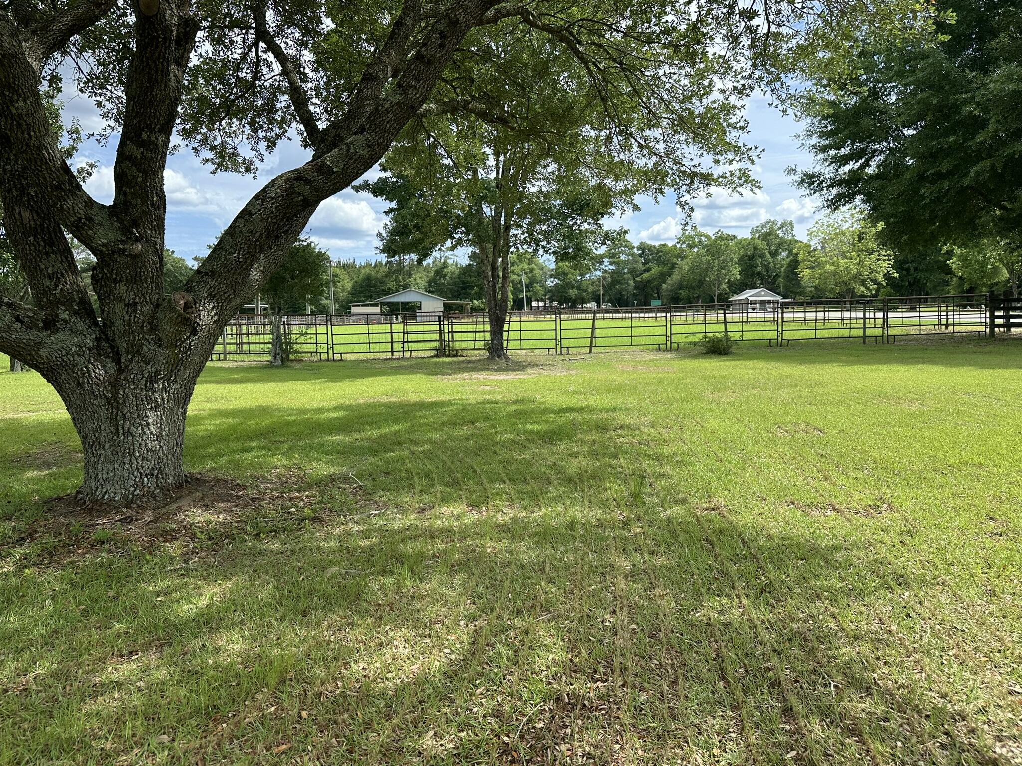 420 Gomillion Road Florala, AL 36442 - Photo 20 of 32 IMG_9971