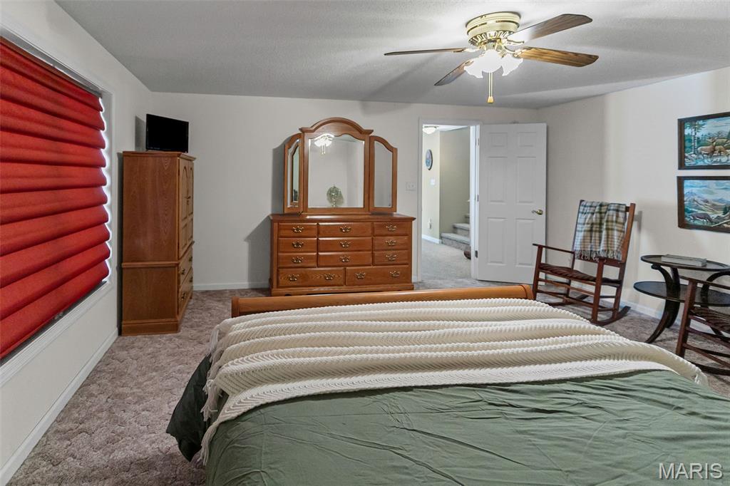 336 Overlook Drive Edwardsville, IL 62025 - Photo 47 of 77