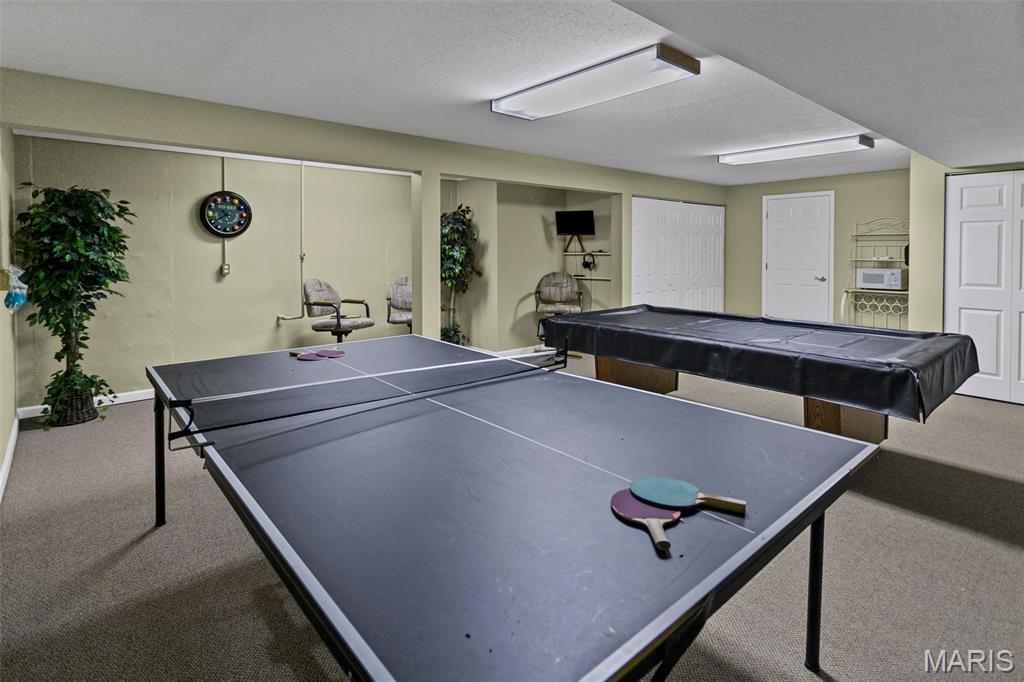 336 Overlook Drive Edwardsville, IL 62025 - Photo 49 of 77