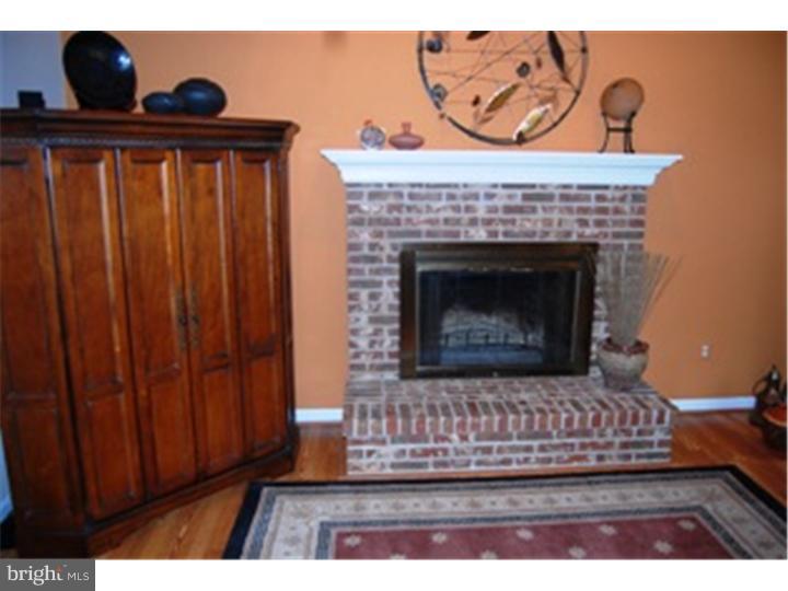 4810 Redfield Road Doylestown, PA 18902 - Photo 15 of 25 Fireplace