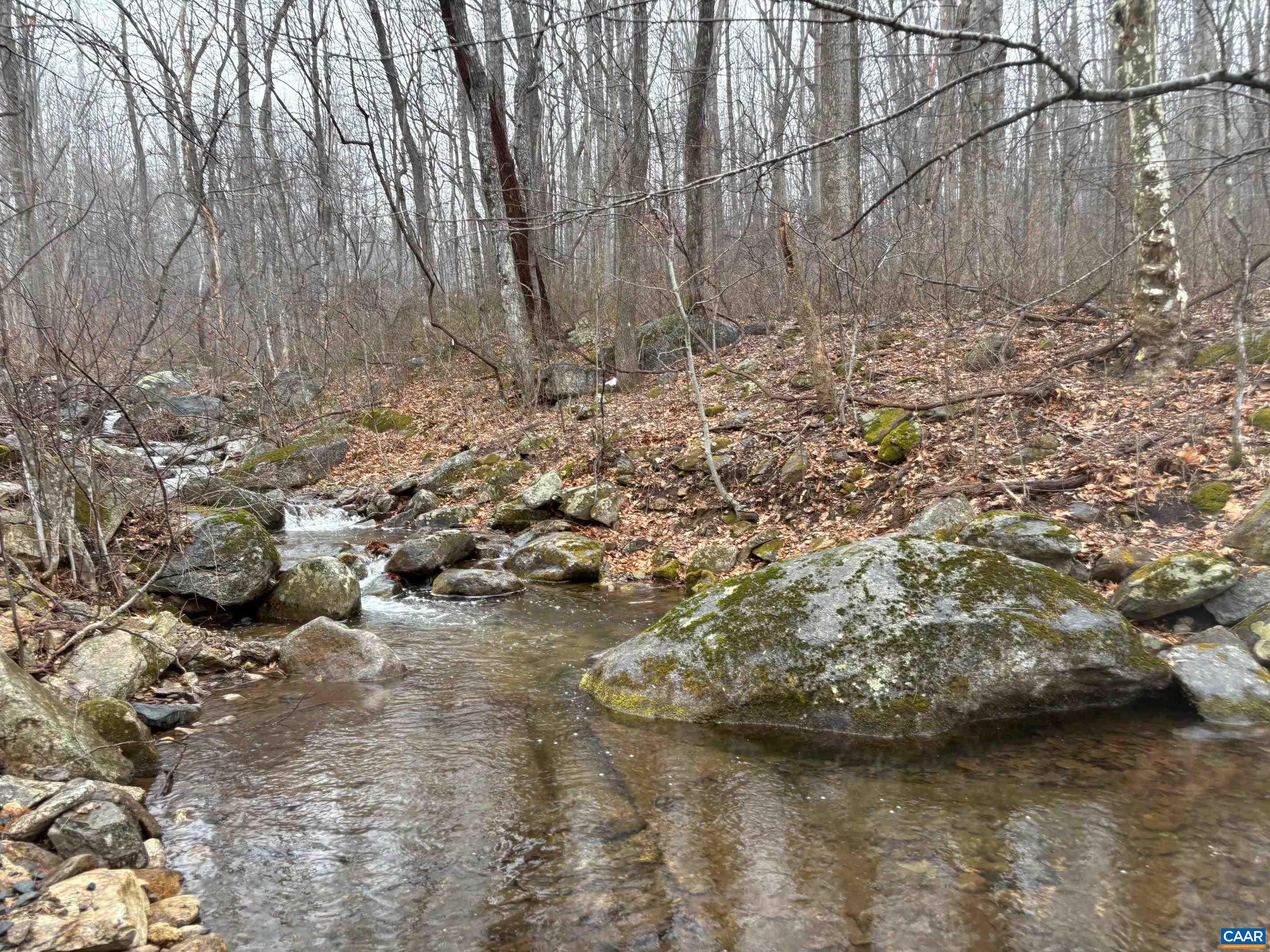 4893 Weakley Hollow Road Syria, VA 22743 - Photo 19 of 25 Another view of stream