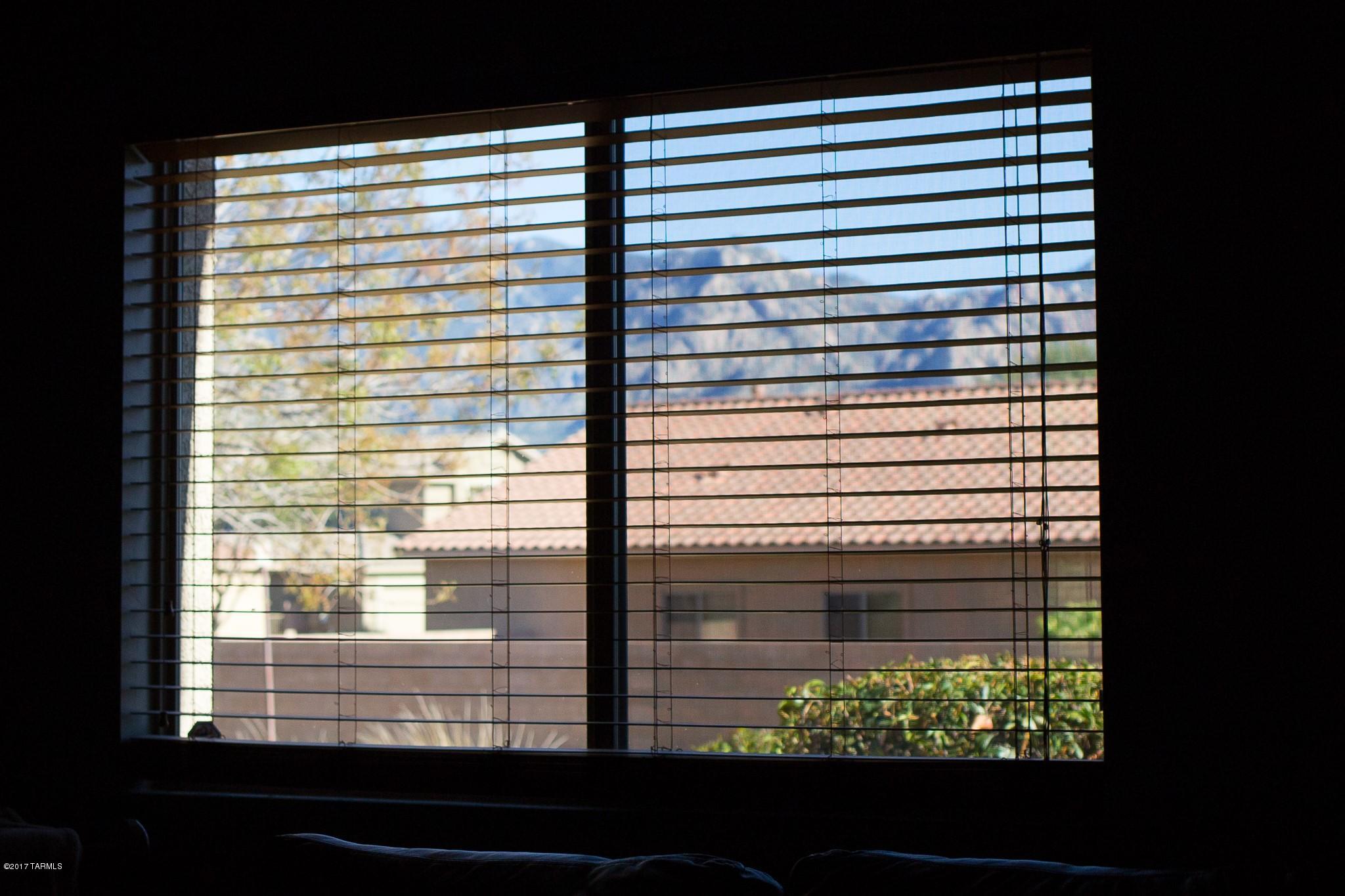 3713 East Northern Dancer Road Tucson, AZ 85739 - Photo 31 of 31