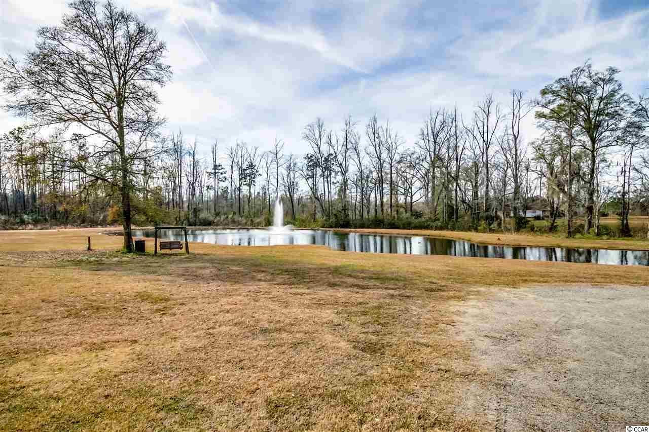 1359 Busy Corner Road Conway, SC 29527 - Photo 4 of 25 Gallery Image 4