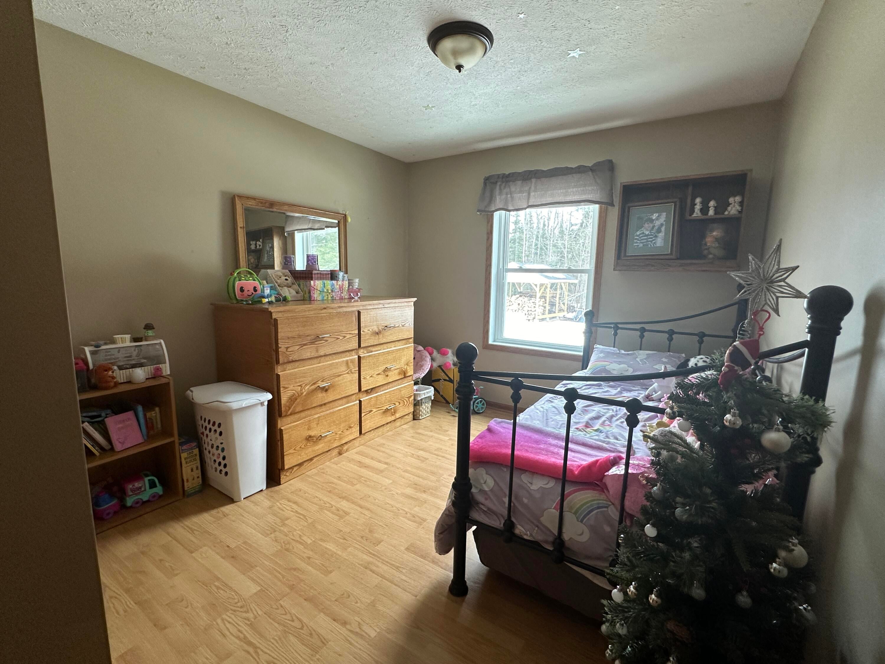 10129 South Bound Road Brimley, MI 49715 - Photo 20 of 40 Gallery Image 20