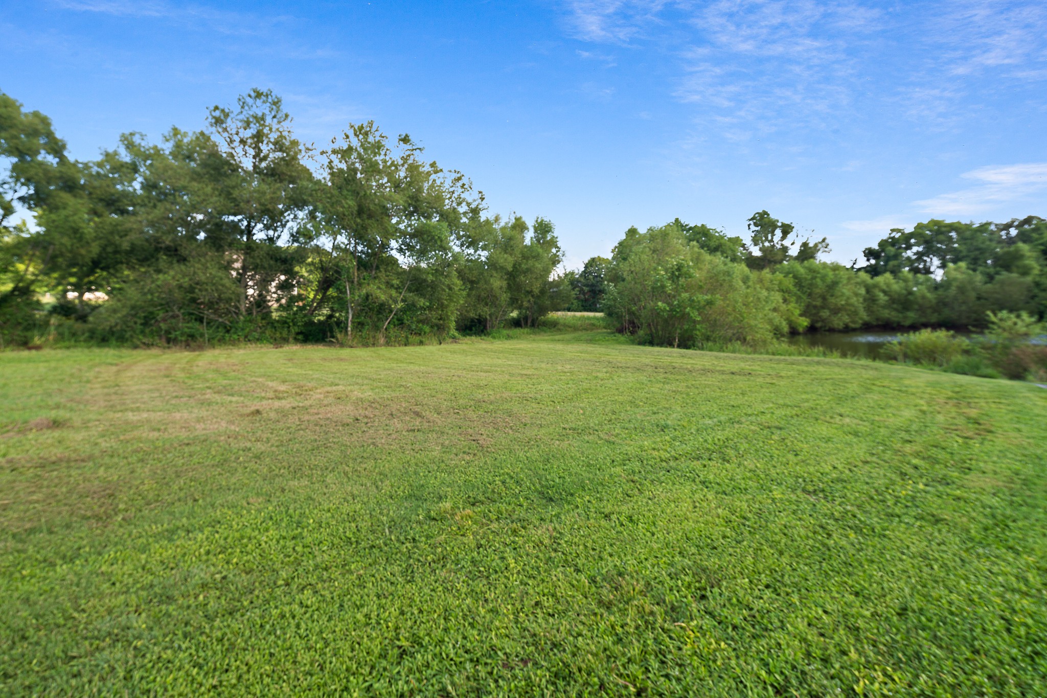 330 Bates Road Lebanon, TN 37087 - Photo 49 of 53 a view of a field with trees in the background